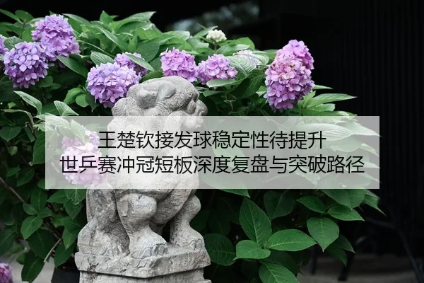 王楚钦接发球稳定性待提升 世乒赛冲冠短板深度复盘与突破路径